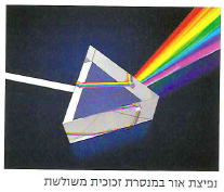 (בספר תמונות של עגבניה, קוביית משחק שחורה, ביצה ולימון)